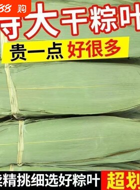 干粽叶粽子叶大宽叶端午包粽子专用野生正宗新鲜箬叶批发包邮叶子