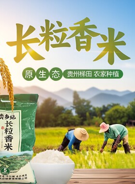 贵州长粒香米20斤|超2000次加购