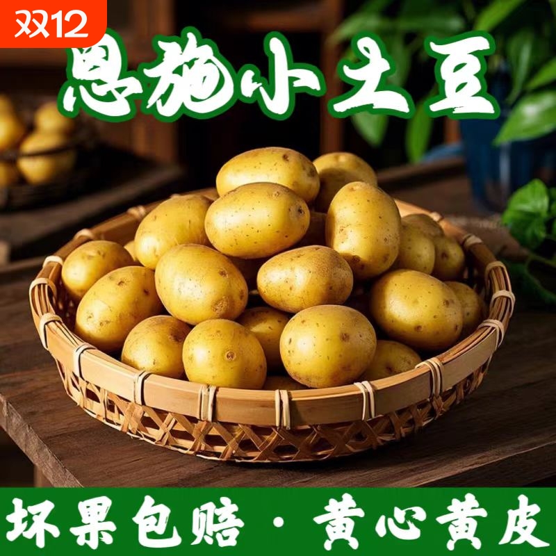 黄金小土豆土豆恩施黄心农家小土豆正宗高山新鲜现挖迷你小个洋芋