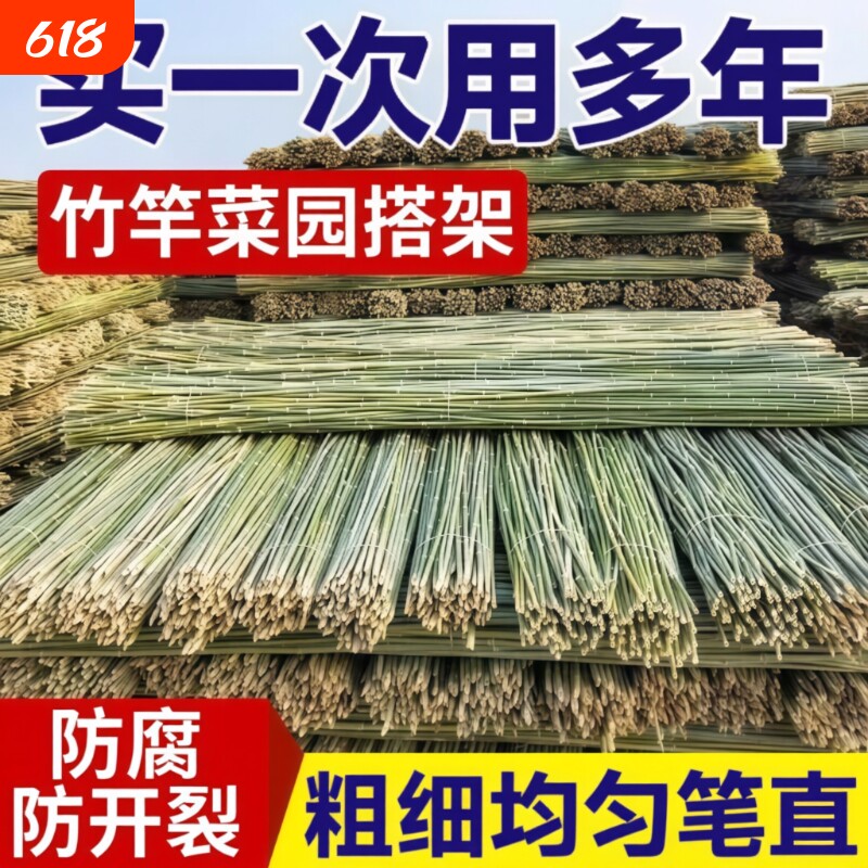 小竹杆爬藤架竹竿菜园搭架豆角竹篱笆彩旗竹竿子花架围栏竹子黄瓜