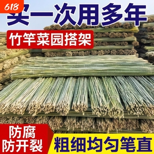 小竹杆爬藤架竹竿菜园搭架豆角竹篱笆彩旗竹竿子花架围栏竹子黄瓜