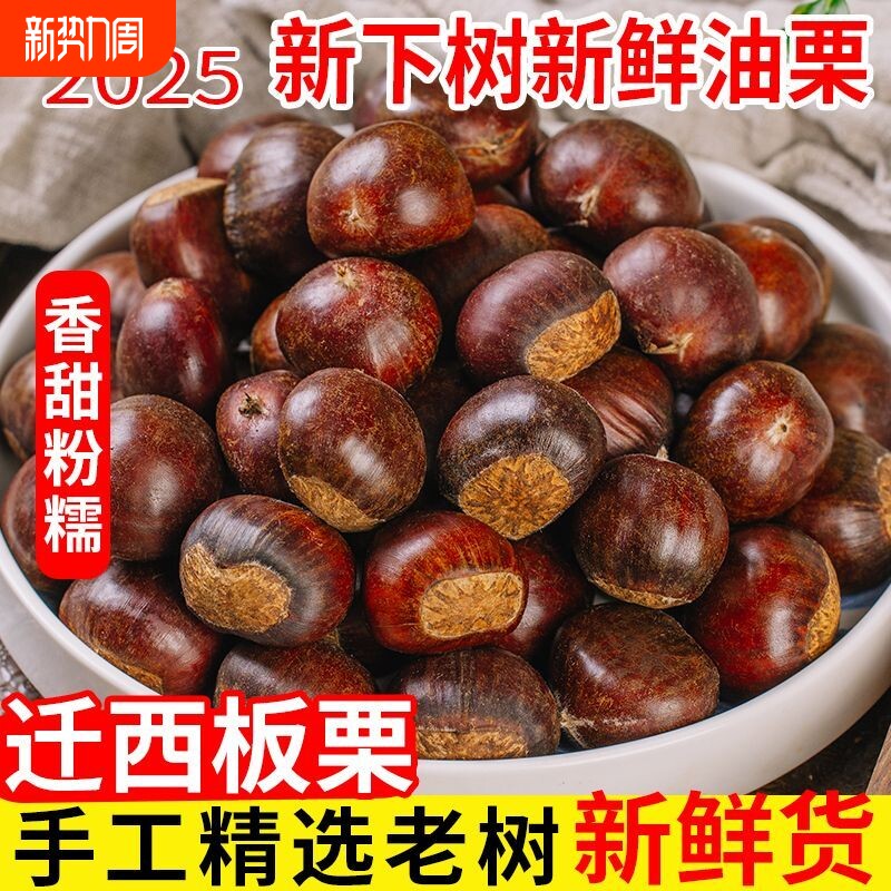正宗迁西板栗2025年新货生新鲜栗子板栗生大油栗野生小毛栗子现摘