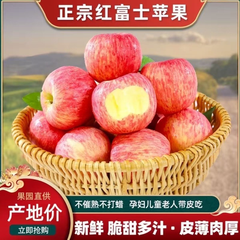 红富士苹果正宗当季新鲜水果脆甜2025苹果多层保护现摘整箱,水产肉类/新鲜蔬果/熟食,苹果,淘宝优惠券,粉丝福利购,淘宝优惠卷