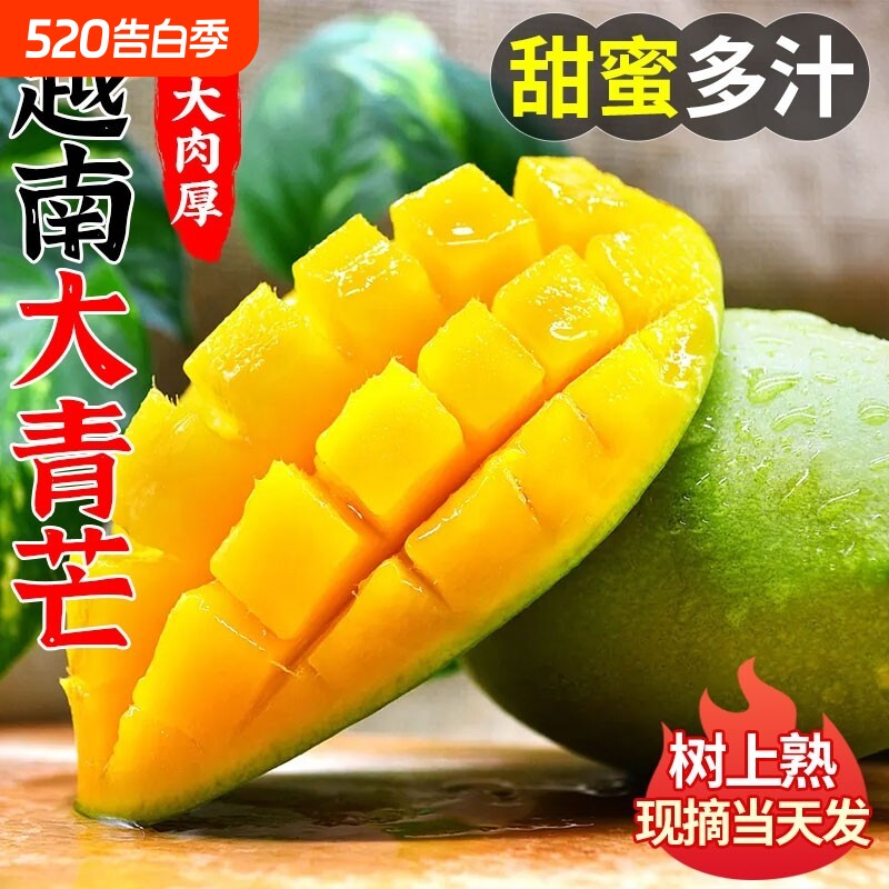 越南青芒  现摘现发新鲜酸脆生吃芒果当季水果芒果芽广西青芒果