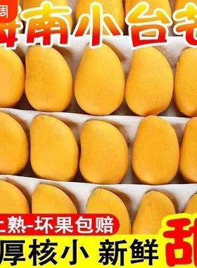 海南小台农芒果爆甜多汁正宗小台农芒应季新鲜水果产地直销包邮
