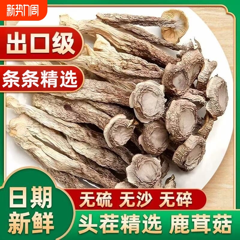 鹿茸菇干货古田特产非野生鹿茸菌菌菇包香菇煲汤食材菌类食用精选