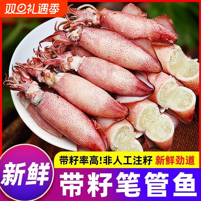 海兔子满籽笔管鱼新鲜带籽纯籽籽乌子乌小鱿鱼乌贼生鲜海鲜冷冻货