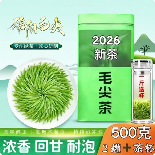 信阳2026新茶茶叶正宗明前特级嫩芽尖绿茶浓香型毛尖罐装春茶炒青