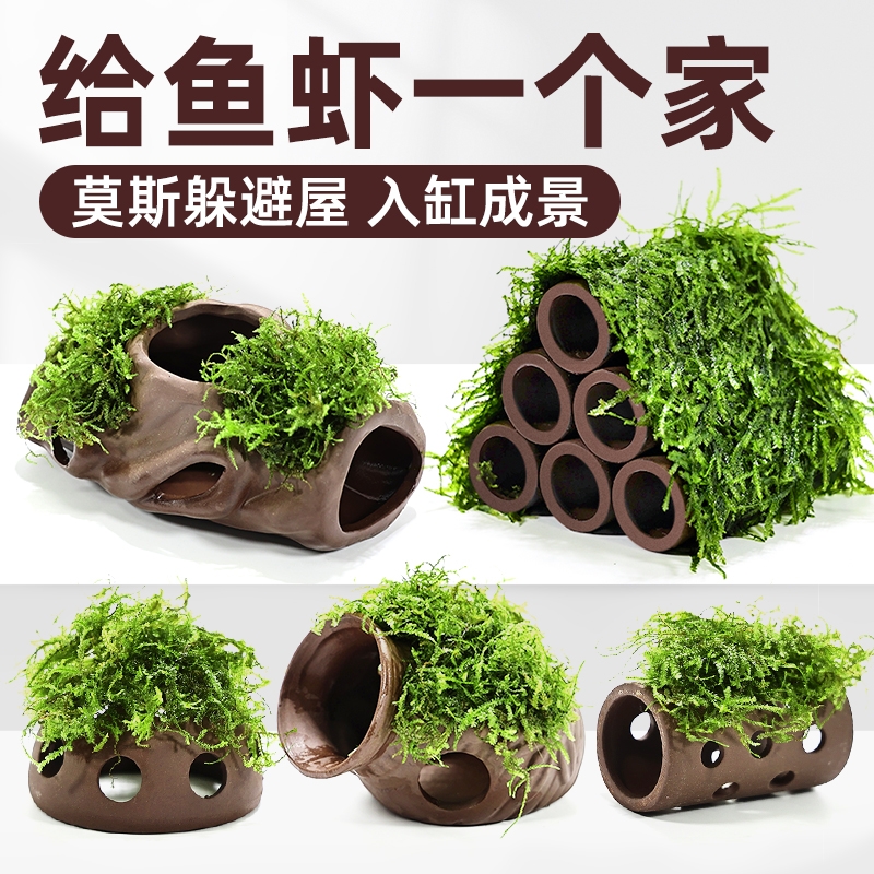 紫砂鱼缸装饰蘑菇屋|千人加购