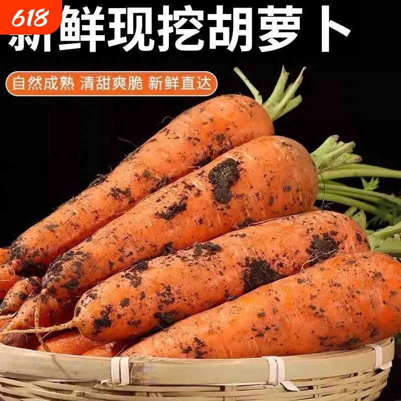 现拔胡萝卜新鲜带泥现挖蔬菜水果可生吃即食甜脆农家自种宝宝辅食