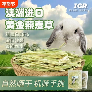 澳大利亚进口燕麦草兔粮龙猫豚鼠荷兰猪干草包邮牧草羊驼晒干黄金