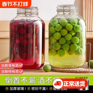 泡酒玻璃瓶专用杨梅酒空瓶青梅果酒10斤酒坛酒罐容器食品级密封罐