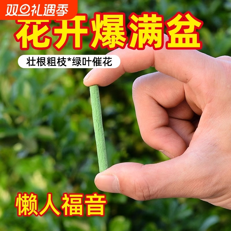 缓释肥缓释营养棒绿植花卉盆栽花肥料花盆施肥植物通用型复合肥