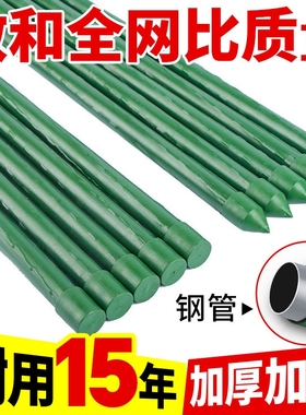 爬藤架花架葡萄番茄豆角黄瓜架子包塑钢管植物种菜搭架园艺支撑杆
