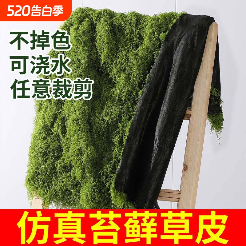 仿真苔藓草皮假苔藓仿真草坪永生假青苔微景观绿植造景假盆景铺面