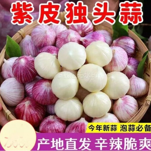 2026当季现挖紫皮独头蒜