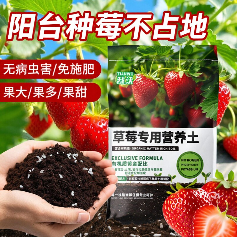 种草莓专用土营养土阳台草莓肥料专用肥盆栽草莓苗土壤泥土种植土