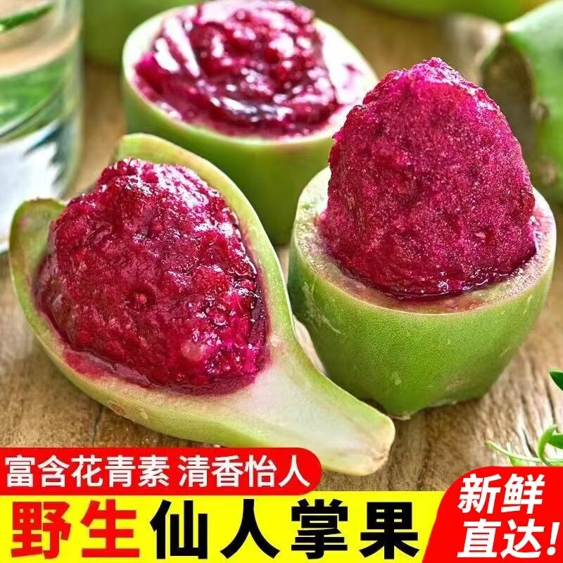 海南仙人掌果实仙桃整箱5斤南方野生果应当季罕见奇特热带水果