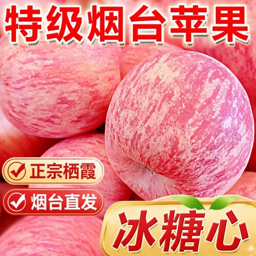 脆甜红富士苹果4.5斤|千人加购