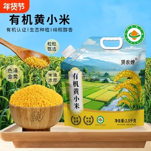 有机黄小米当季新米杂粮5斤装25年朝阳正宗优质金苗K1粥米脂小米