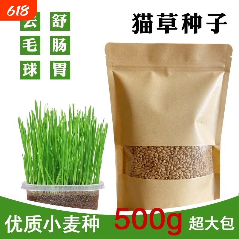 猫草种子水培猫咪吃的化毛去毛球猫麦草籽麦芽发芽食用新鲜种植