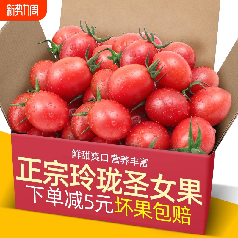 云南现摘农家玲珑圣女果3斤小番茄新鲜水果蔬菜当季时令小西红柿5