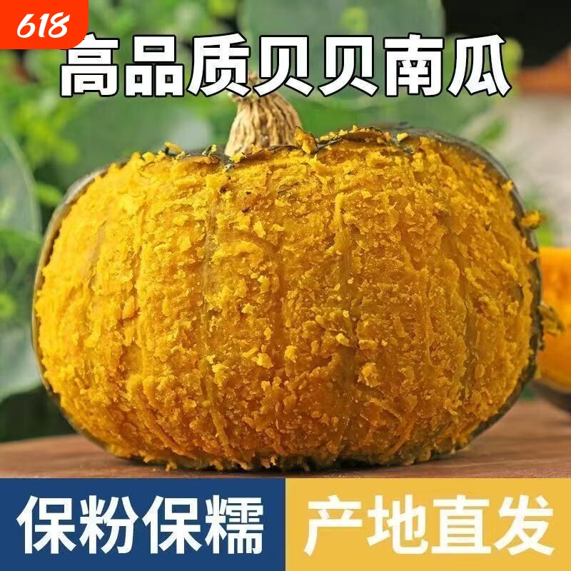 正宗真贝贝南瓜板栗味小南瓜粉糯婴儿南瓜辅食整箱批发包邮粗粮