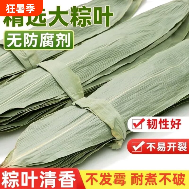 端午节包粽子专用粽叶粽子叶新鲜特大号干棕叶官方旗舰店叶子食用 - 实物图