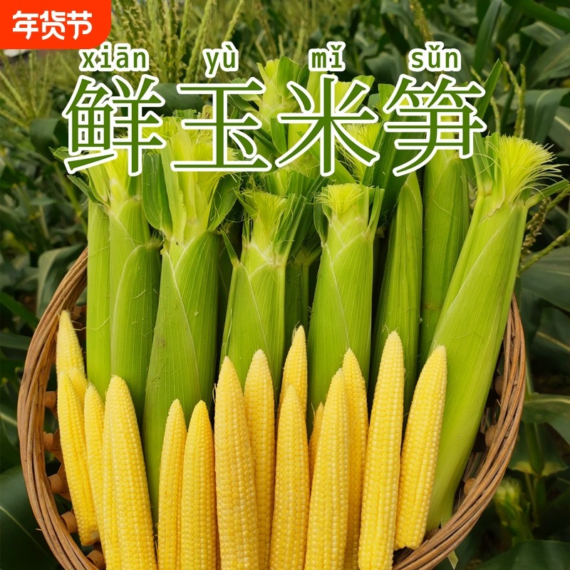 广西新鲜玉米笋现摘玉米笋鲜嫩蔬菜水果小玉米棒迷你玉米非转基因,水产肉类/新鲜蔬果/熟食,新鲜玉米,淘宝优惠券,粉丝福利购,淘宝优惠卷