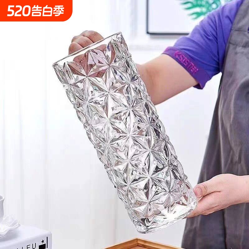大号玻璃花瓶摆件客厅插花轻奢高级感透明水养水培富贵竹专用卧室