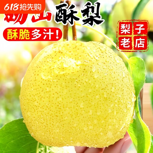 砀山梨汤山梨10斤酥梨梨子香雪梨应季水果梨新鲜整箱包邮年货节