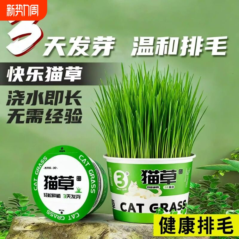 猫草盆栽猫咪罐头水培无土去毛球助消化零食泡面猫零食化毛球