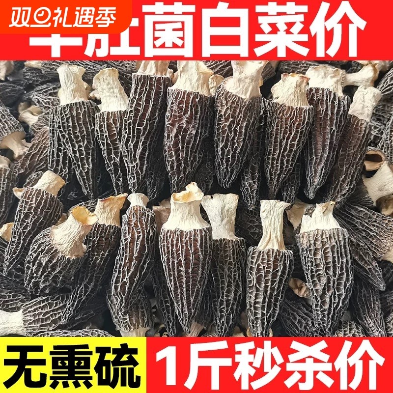 新货干货羊肚菌农家菌菇新鲜纯干羊肚菇蘑干货非野生炖汤食材