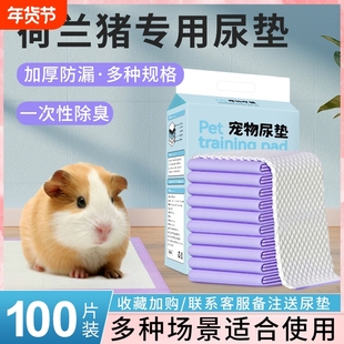 荷兰猪尿垫龙猫豚鼠护理尿不湿加厚吸水笼子窝除臭垫料荷兰猪用品