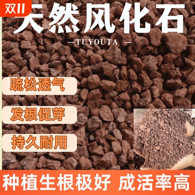 纯天然酸性风化土小叶簕竹金弹子老鸦柿景观盆栽专用透气沥水