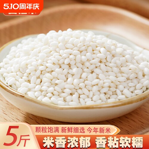长粒糯米新货新米当季新货包白粽专用新鲜粘籼米五谷杂粮500g