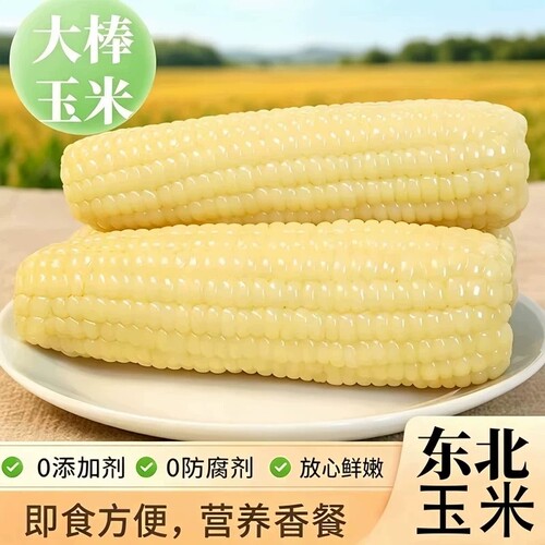 正宗白糯玉米软糯香甜拉丝批发价