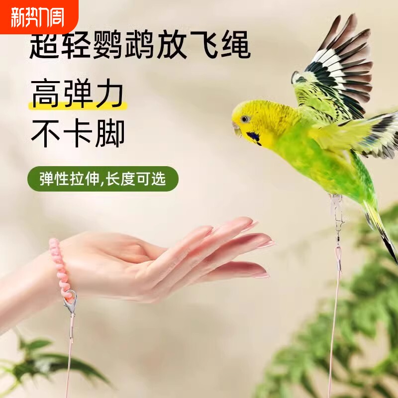 鹦鹉牵引绳外出放飞玄凤专用脚环遛鸟飞行绳超轻不伤脚脚链子八哥