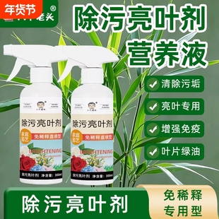 除污亮叶剂植物叶面光亮清洁洗剂旗免稀释叶面肥料