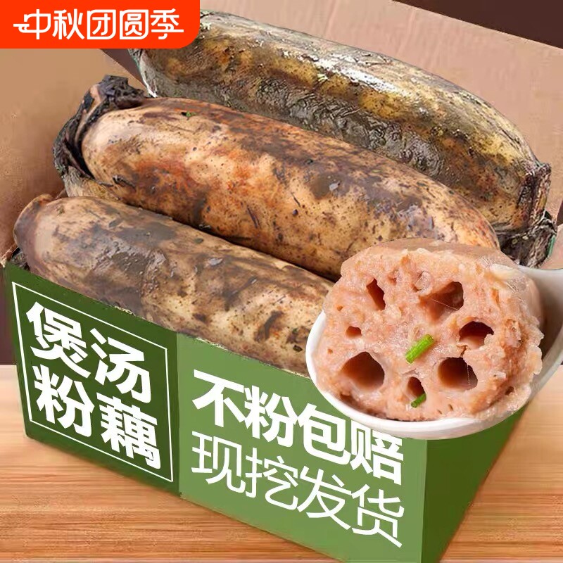 正宗湖北洪湖莲藕新鲜粉藕九孔藕图片