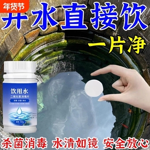 井水漂白粉消毒食用净水片饮用水自来水净化药片剂户外水井水质