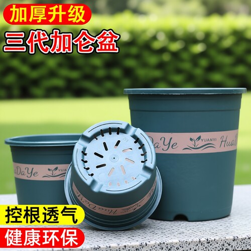 控根透气加仑盆|超2000次加购