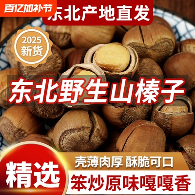 东北野生大榛子新货铁岭特产原味无添加榛子坚果孕妇零食2025新鲜