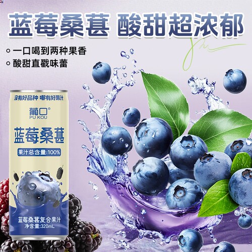 葡口果肉蓝莓果汁芭乐汁饮料