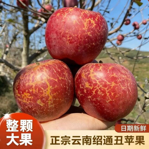 云南高山冰糖心丑苹果新鲜水果