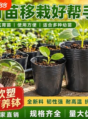营养钵育苗袋一次性育苗杯花盆种植盆塑料园艺花卉种子苗木杯扦插