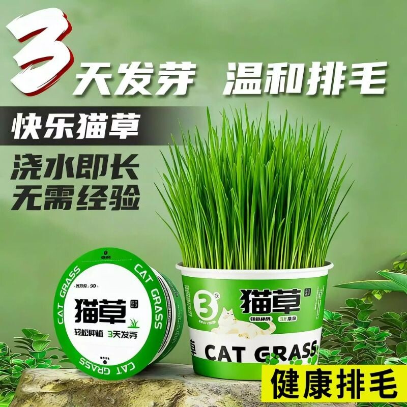 猫草盆栽猫咪罐头水培无土去毛球助消化零食泡面猫零食化毛球