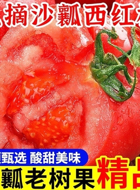露天沙瓤番茄生吃西红柿新鲜大番茄自然熟水果粉柿子5斤装现摘
