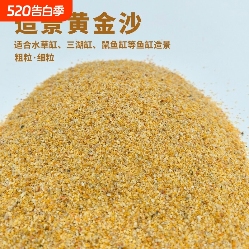 黄金沙南美三湖鼠鱼底砂天然细河沙水草砂化妆沙鱼缸草缸水陆造景