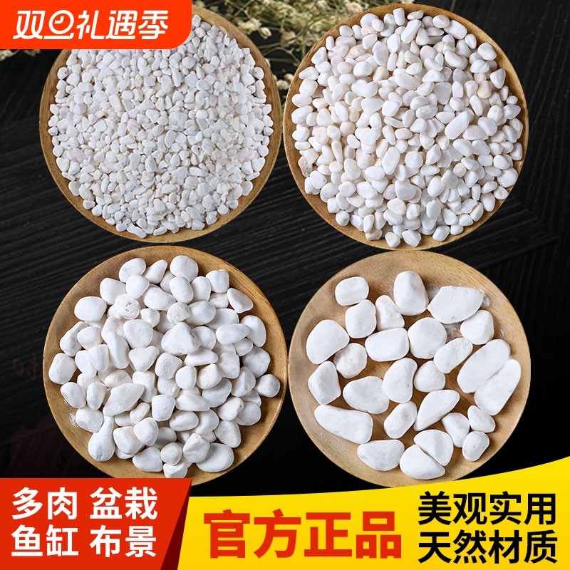 小白石子庭院造景鱼缸鹅卵石原石天然颗粒养花多肉盆栽装饰铺面石